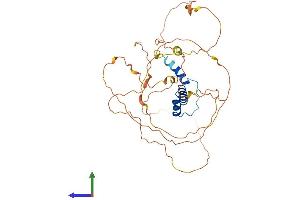 AlphaFold protein structure predicition of Human Recombinant SSBP4 Protein, UniprotID Q9BWG4