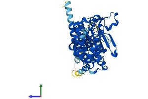 AlphaFold protein structure predicition of Human Recombinant PRIM1 Protein, UniprotID P49642 (PRIM1 Protein (AA 1-420) (His tag))