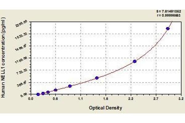 NELL1 ELISA Kit