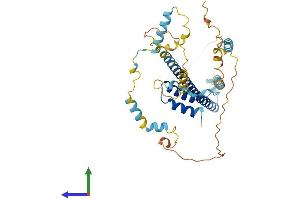 AlphaFold protein structure predicition of Human Recombinant FEZ1 Protein, UniprotID Q99689