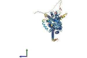 AlphaFold protein structure predicition of Human Recombinant SLCO2B1 Protein, UniprotID O94956 (SLCO2B1 Protein (AA 1-709) (His tag))