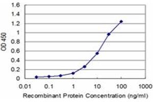 Detection limit for recombinant GST tagged PLAG1 is approximately 1ng/ml as a capture antibody. (PLAG1 antibody  (AA 2-99))