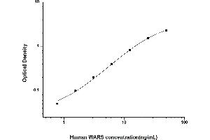 Typical standard curve (WARS ELISA Kit)