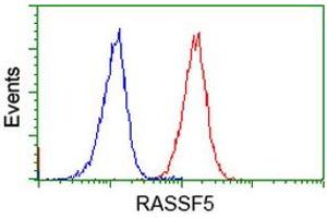 Image no. 3 for anti-Ras Association (RalGDS/AF-6) Domain Family Member 5 (RASSF5) antibody (ABIN1500615) (RASSF5 antibody)