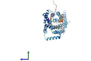AlphaFold protein structure predicition of Human Recombinant SLC7A10 Protein, UniprotID Q9NS82