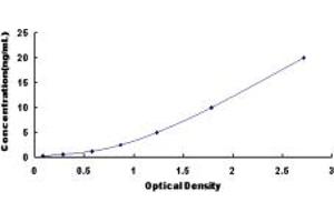 Typical standard curve (GFPT2 ELISA Kit)