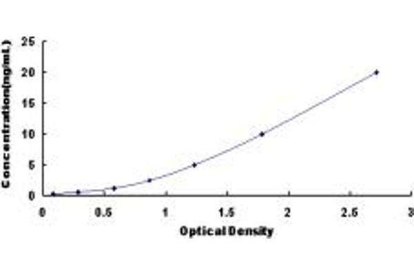 GFPT2 ELISA Kit