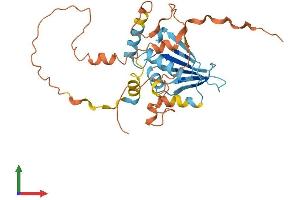 AlphaFold protein structure predicition of Human Recombinant PMS2P2 Protein, UniprotID O95744