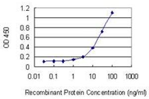 Detection limit for recombinant GST tagged GLUD2 is 0.