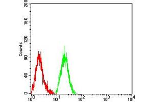 Flow cytometric analysis of Jurkat cells using B7H3 mouse mAb (green) and negative control (red). (CD276 antibody  (AA 29-466))