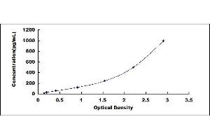 Typical standard curve (TNF alpha ELISA Kit)