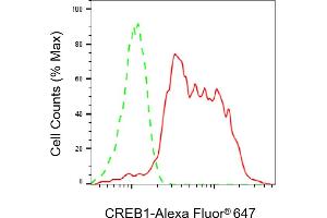 Flow cytometric analysis of CREB1 expression in HepG2 cells using CREB1 antibody (ABIN7797858), 1:2,000). (Recombinant CREB1 antibody)