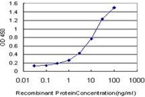 Detection limit for recombinant GST tagged IFI16 is approximately 0. (IFI16 antibody  (AA 630-729))