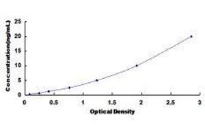 Major Histocompatibility Complex, Class I, A (HLA-A) ELISA Kit