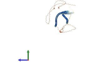 Protein Structure (PS) image for Keratin 77 (KRT77) (AA 1-578) protein (His tag) (ABIN7548678)