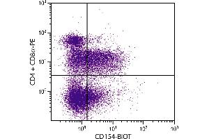 PMA and ionomycin stimulated BALB/c mouse splenocytes were stained with Hamster Anti-Mouse CD154-BIOT. (CD40 Ligand antibody  (Biotin))