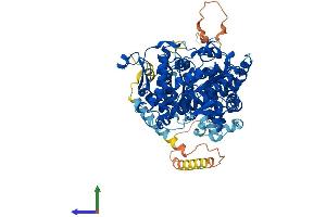 AlphaFold protein structure predicition of Human Recombinant AMPD3 Protein, UniprotID Q01432 (AMPD3 Protein (AA 1-767) (His tag))