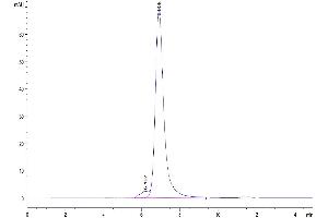The purity of Mouse L1CAM is greater than 95 % as determined by SEC-HPLC. (L1CAM Protein (AA 20-1123) (His tag))