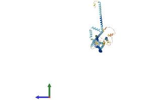 AlphaFold protein structure predicition of Human Recombinant CUX1 Protein, UniprotID Q13948