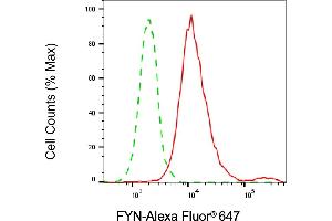 Flow cytometric analysis of FYN expression in HeLa cells using FYN antibody (ABIN7798670), 1:2,000).