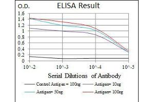 Black line: Control Antigen (100 ng), Purple line: Antigen(10 ng), Blue line: Antigen (50 ng), Red line: Antigen (100 ng), (MYF6 antibody  (AA 85-150))