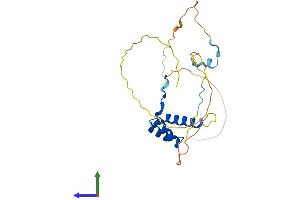 AlphaFold protein structure predicition of Mouse Recombinant Nkx2-8 Protein, UniprotID O70584 (NKX2-8 Protein (AA 1-235) (His tag))