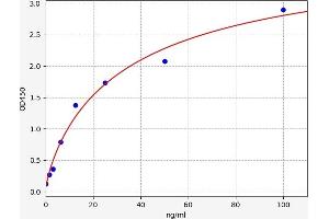 Typical standard curve (FLT3LG ELISA Kit)