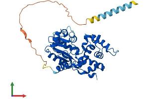 AlphaFold protein structure predicition of Mouse Recombinant Chst10 Protein, UniprotID Q6PGK7 (CHST10 Protein (AA 1-356) (His tag))