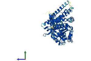 AlphaFold protein structure predicition of Mouse Recombinant Cyp4x1 Protein, UniprotID Q6A152 (CYP4X1 Protein (AA 1-507) (His tag))