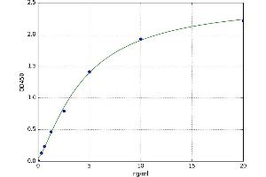 Lysosomal-Associated Membrane Protein 2 (LAMP2) ELISA Kit
