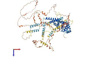 PATL1 Protein (AA 1-770) (His tag)