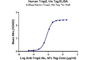 ELISA image for Tumor-Associated Calcium Signal Transducer 2 (TACSTD2) (AA 27-274) protein (His tag) (ABIN7275793)