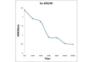 Antigen: 0. (HDAC3 antibody  (AA 31-130))