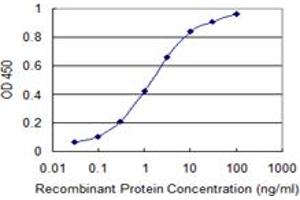 Detection limit for recombinant GST tagged PRRG2 is 0. (PRRG2 antibody  (AA 50-109))