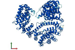 AlphaFold protein structure predicition of Human Recombinant KPNB1 Protein, UniprotID Q14974 (KPNB1 Protein (AA 1-876) (His tag))
