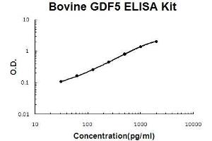 Bovine GDF5 PicoKine ELISA Kit standard curve