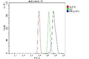 Flow Cytometry analysis of ANA-1 cells using anti-EIF4A1 antibody (ABIN7603144). (EIF4A1 antibody  (N-Term))