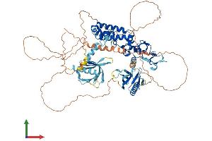 AlphaFold protein structure predicition of Human Recombinant PLEKHM3 Protein, UniprotID Q6ZWE6 (PLEKHM3 Protein (AA 1-761) (His tag))