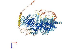 AlphaFold protein structure predicition of Human Recombinant URGCP Protein, UniprotID Q8TCY9 (URGCP Protein (AA 1-931) (His tag))
