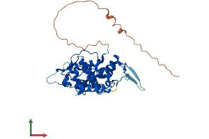 AlphaFold protein structure predicition of Mouse Recombinant Golph3 Protein, UniprotID Q9CRA5 (GOLPH3 Protein (AA 1-298) (His tag))