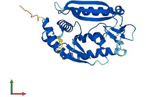 AlphaFold protein structure predicition of Human Recombinant C1orf74 Protein, UniprotID Q96LT6 (C1ORF74 Protein (AA 1-269) (His tag))
