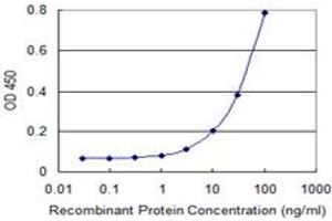 Detection limit for recombinant GST tagged SLC6A16 is 1 ng/ml as a capture antibody. (SLC6A16 antibody  (AA 406-492))