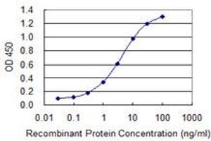 Detection limit for recombinant GST tagged GUCA1B is 0. (GUCA1B antibody  (AA 93-200))