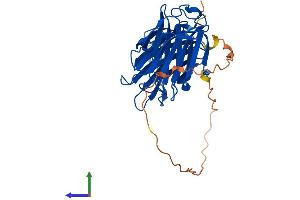 AlphaFold protein structure predicition of Human Recombinant LGALS9 Protein, UniprotID O00182 (Galectin 9 Protein (AA 1-355) (His tag))