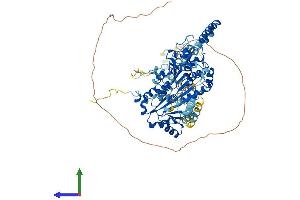 AlphaFold protein structure predicition of Human Recombinant DDX23 Protein, UniprotID Q9BUQ8 (DDX23 Protein (AA 1-820) (His tag))