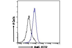 (ABIN185018) Flow cytometric analysis of paraformaldehyde fixed A431 cells (blue line), permeabilized with 0. (ECT2 antibody  (N-Term))