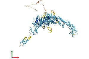 AlphaFold protein structure predicition of Mouse Recombinant Msh5 Protein, UniprotID Q9QUM7 (MSH5 Protein (AA 1-833) (His tag))