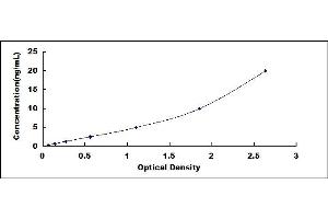 Typical standard curve (COMP ELISA Kit)