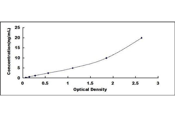 COMP ELISA Kit