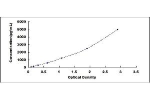 Typical standard curve (RSPO2 ELISA Kit)